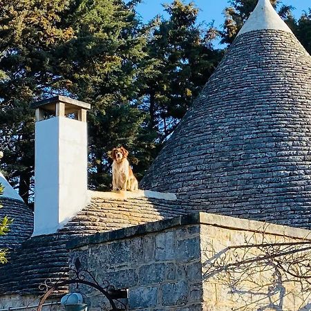 L'Eremo Daire Alberobello Dış mekan fotoğraf