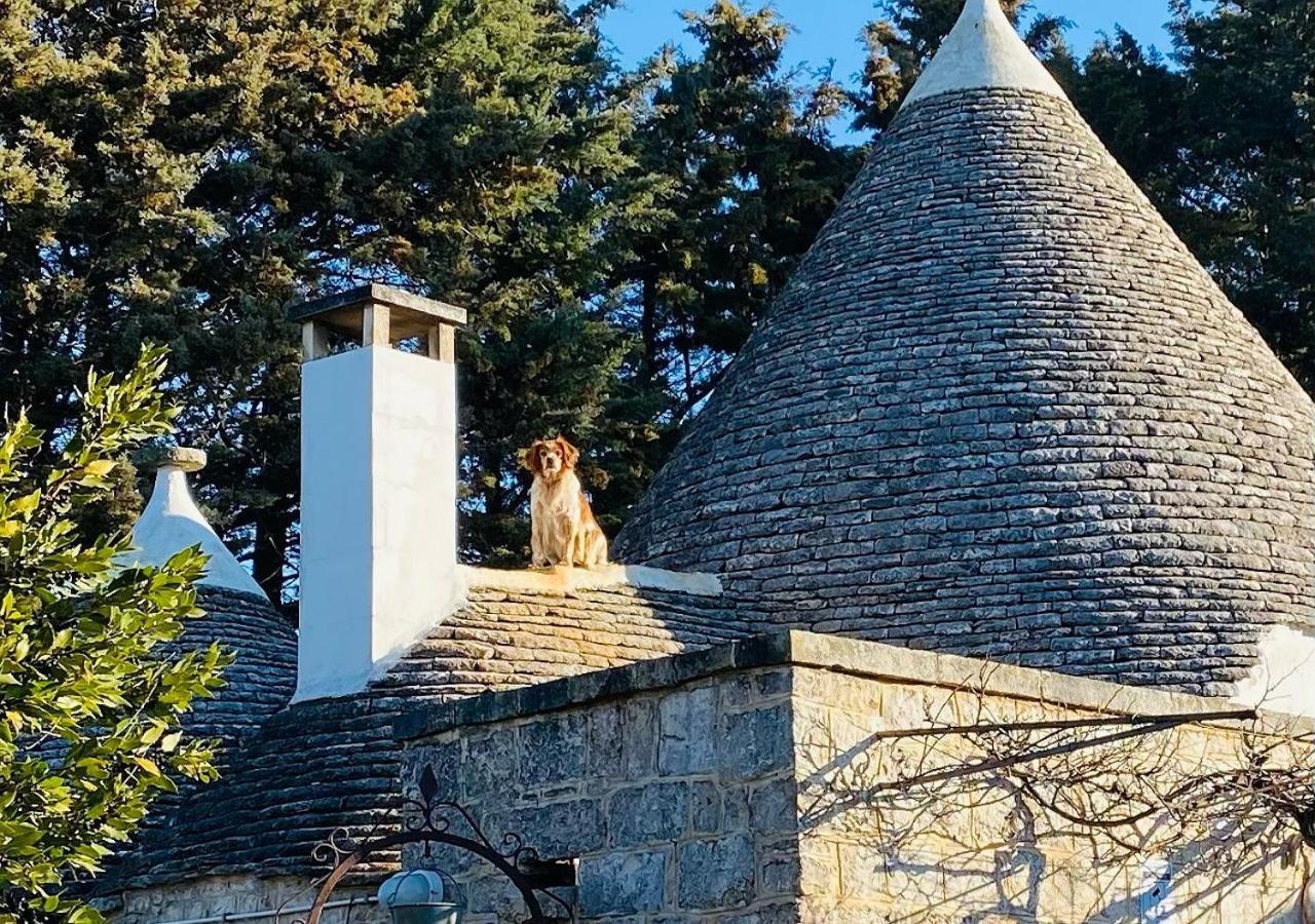L'Eremo Daire Alberobello Dış mekan fotoğraf