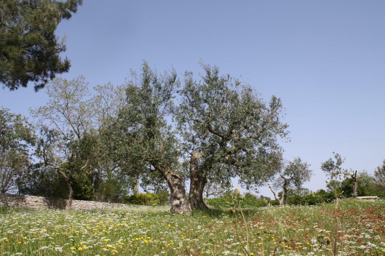 L'Eremo Daire Alberobello Dış mekan fotoğraf